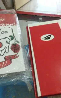 دو عدد کلاسور