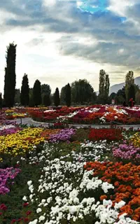 خدمات فضای سبز آبیاری قطره ای تخصصی