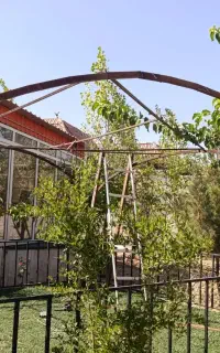 جوشکار