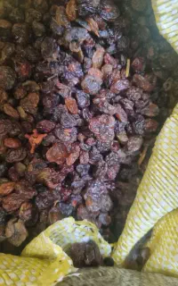 کشمش کاشمر،ملایر،ملکان،محلی ،خرما وخمیرخرما
