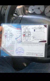 پژو ۲۰۶ SD v8