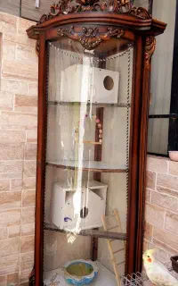 بوفه طراحی شده دستی برای نگهداری حیوانات مثل قفس