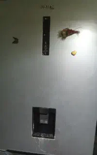 یخچال پارس