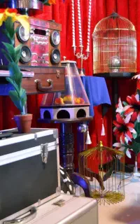 اجرای شعبده بازی