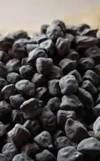 خریدوفروش نخود سیاه به بالا ترین قیمت