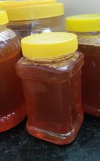 عسل کوهستان
