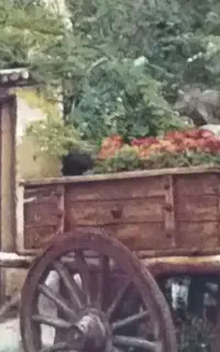 تابلو فرش درحدنو