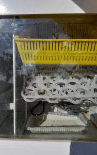 دستگاه جوجه کشی دیجیتال