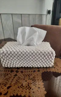 جا دستمال کاغذی