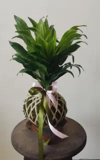 یه کادویی جذاب