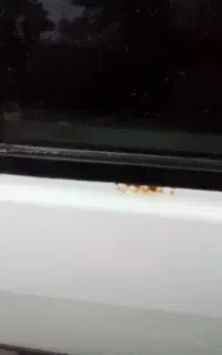 تیبا ۱ بی رنگ شاسی سالم