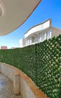 فنس برگی