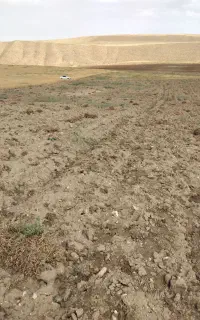 نمایندگی فروش در قم