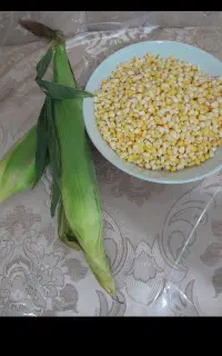 دون شده درجه یک