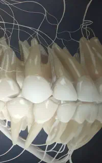 نیروی خدماتی و نظافتی در لابراتوار