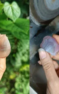 آموزش گوهرتراشی