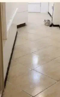 نظافت منزل