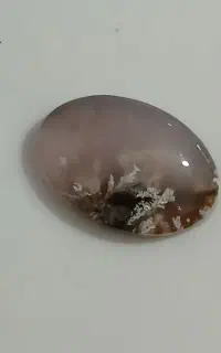نگین شجر