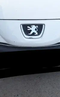 پدال گاز ۲۰۷