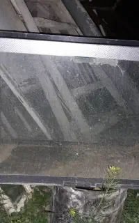 اکوارویوم