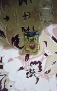 کیمدی ۲۰۲۵ و ۲۰۲۶