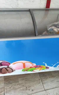 یخچال و فریزر و چرخ گوشت