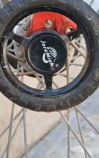 تنه لاتانی مستونو