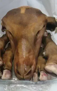 گوشت موجود هست کله پاچه