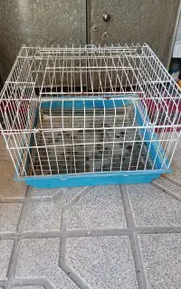 قفس خرگوش
