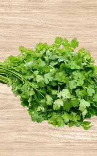 سبزی اشی