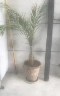 تهویه والکتروموتور