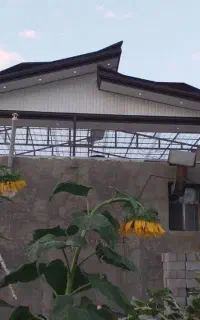 شیروانی  و سبک سازی شیک