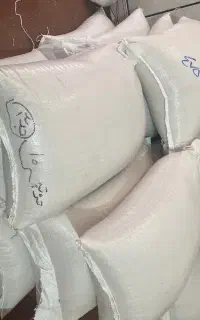مستقیم شالیکوبی