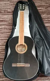 فروش گیتار