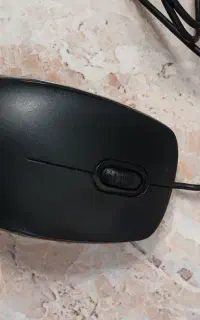 ماوس