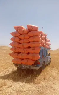 کاه دیم تحویلی درب منزل