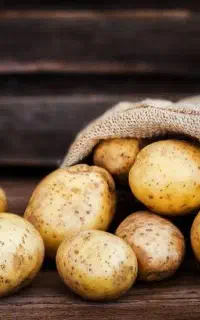 فروش سیب زمینی روز
