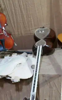 ویلن حرفه‌ای ساخت کی نژاد