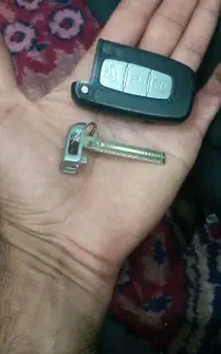 ریموت کیا خام