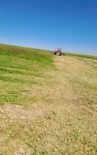 علوفه خرمنکوپ شده درجه یک