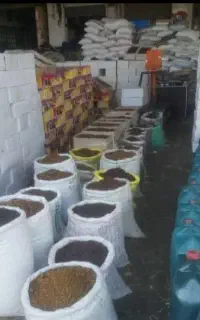 فروش عمده کشمش افتاب سایه خشک مویز شیره خرما انگور