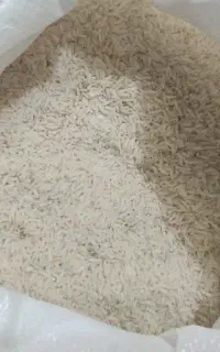 فروش ویژه برنج طارم هاشمی اصل شمال