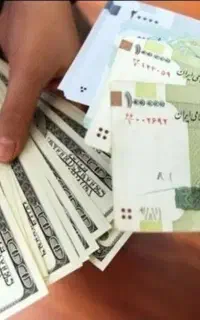 رایگان پول در بیار دلاری