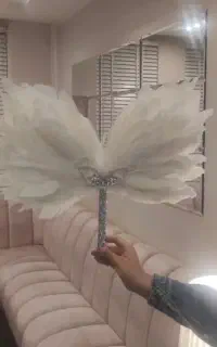 بادبزن عروس