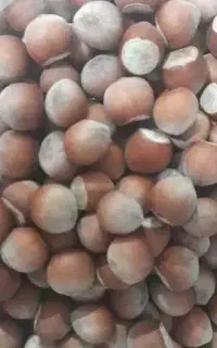 فندوق پرچرب اشکور