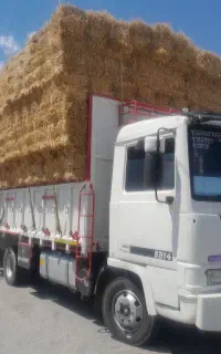 فروش کاه ویونجه وپرس گندم وجو