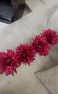 گل با گلدان