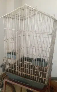 قفس بزرگ طوطی سانان