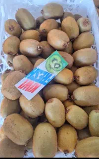 استخدام نیروی کار