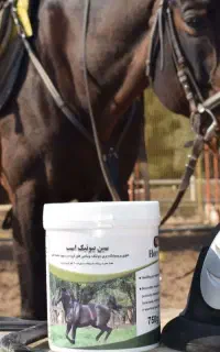 پروبیوتیک اسب فست کوک